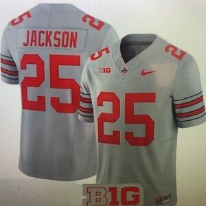 🤣Bo Jackson Gray Jersey Stitched Vapor😳
